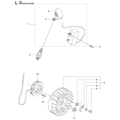 Ignition System for Husqvarna 555FX