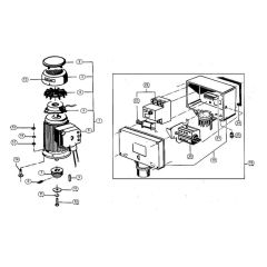 Motor, Switch Assembly