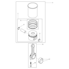 Cylinder, Piston Assembly