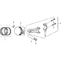 Piston & Connecting Rod Assembly
