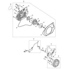 Recoil & Ignition Assembly