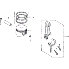 Piston & Connecting Rod Assembly