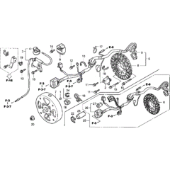 Flywheel Ignition Assembly