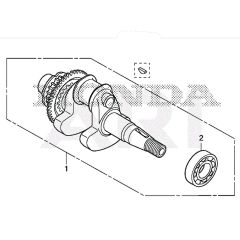 Crankshaft for Honda EU22i