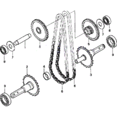 Chain and Sprockets Assembly