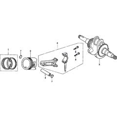 Piston & Rod Assembly for F720