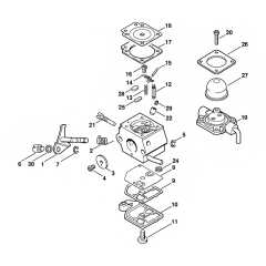 Stihl FS55 Carburetor