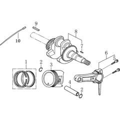 Crankshaft & Piston Assembly