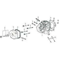 Cylinder Head Assembly