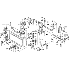 Fuel Tank & Pump Assembly
