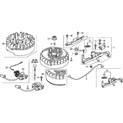 Flywheel & Ignition Coil Assembly