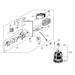 Motor & Switch Assembly