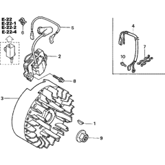 Flywheel & Ignition Coil Assembly
