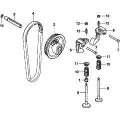 Camshaft Pulley Assembly