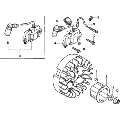 Flywheel & Ignition Coil Assembly