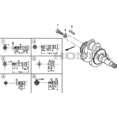 Crankshaft Assembly for GX200H