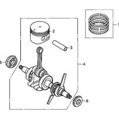 Crankshaft/Piston Assembly