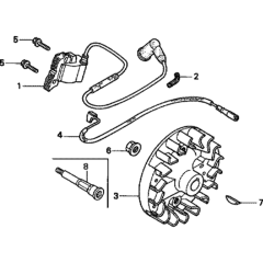 Flywheel/Ignition Coil Assembly