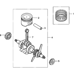Crankshaft & Piston Assembly