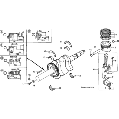 Crankshaft & Piston Assembly
