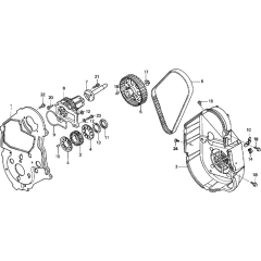 Timing Belt & Water Pump