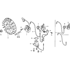 Flywheel & Ignition Coil Assembly