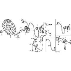 Flywheel & Ignition Coil Assembly