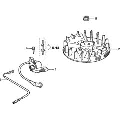 Flywheel/Ignition Coil Assembly