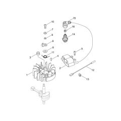 Magneto for ECHO HCR-165ES