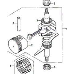 Crankshaft Piston Assembly
