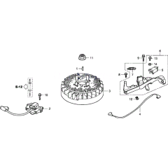 Flywheel & Ignition Coil Assembly