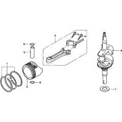 Crankshaft & Connecting Rod
