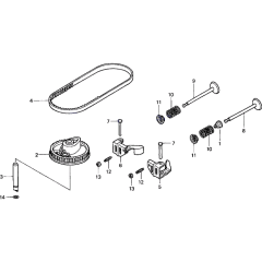 Camshaft Pulley & Belt Assembly