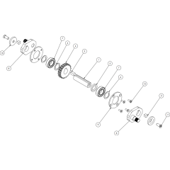 Cranks & Gear Assembly
