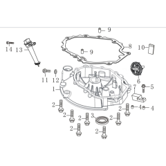Crankcase Cover Assembly