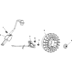 Flywheel/Ignition Coil Assembly