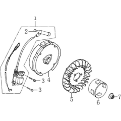 Flywheel/Coil Assembly