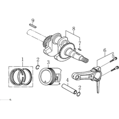 Crankshaft/Piston Assembly