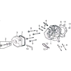 Cylinder Head Assembly