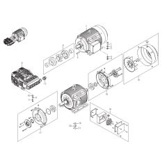 Motor, Coupling Assembly