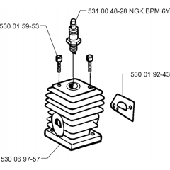 Cylinder Assembly for MONDO Edger