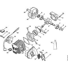 Cylinder & Ignition Assembly