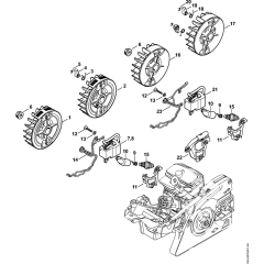 Ignition & Wiring Assembly