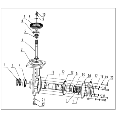 Walking Case Assembly