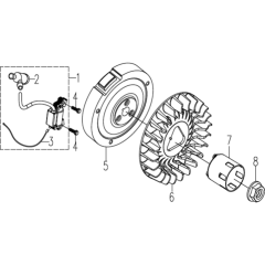 Ignition System for Husqvarna TF 545P