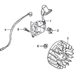 Flywheel & Ignition Assembly