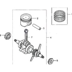 Crankshaft & Piston Assembly