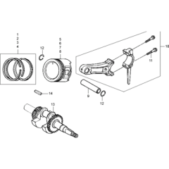 Piston & Crankshaft Assembly