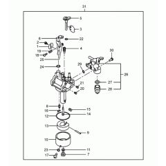 Carburettor Assembly for VP50X