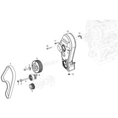 Timing Belt Assembly for LTT6